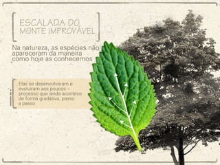 Escalada do Monte Improvável Na natureza, as espécies não apareceram da maneira como hoje as conhecemos Elas se desenvolveram e evoluíram aos poucos – processo que ainda acontece de forma gradativa, passo a passo 