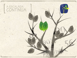 A escalada continua... 