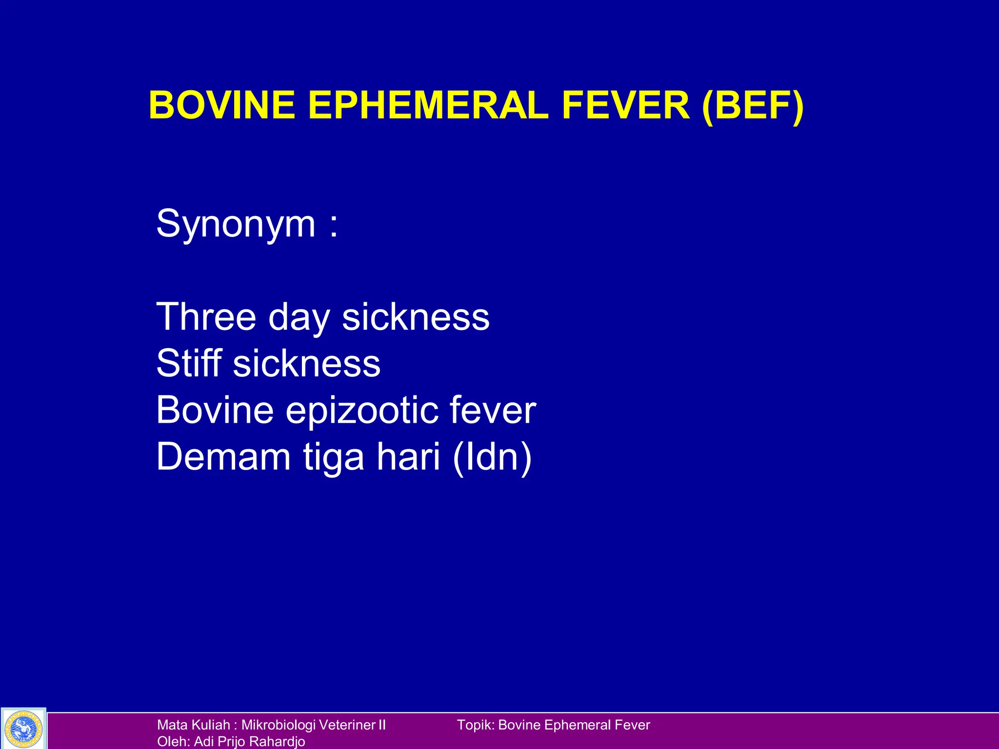 IP Viral BEF-engl_rev.pdf