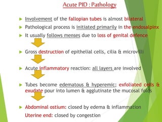 Acute PID : Pathology 
 Involvement of the fallopian tubes is almost bilateral 
 Pathological process is initiated primarily in the endosalpinx 
 It usually follows menses due to loss of genital defence 
 Gross destruction of epithelial cells, cilia & microvilli 
 Acute inflammatory reaction: all layers are involved 
 Tubes become edematous & hyperemic; exfoliated cells & 
exudate pour into lumen & agglutinate the mucosal folds 
 Abdominal ostium: closed by edema & inflammation 
Uterine end: closed by congestion 
 