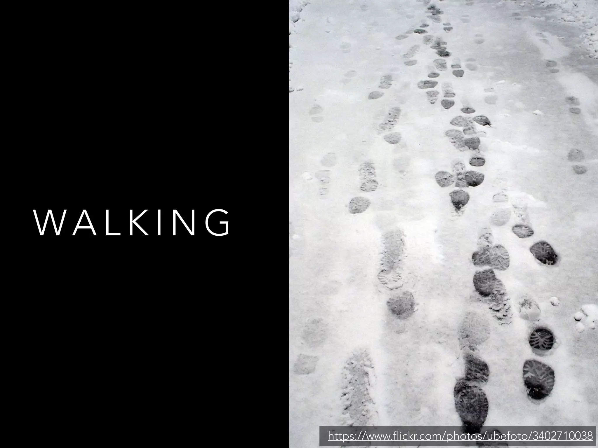WALKING 
https://www.flickr.com/photos/ubefoto/3402710038 
 