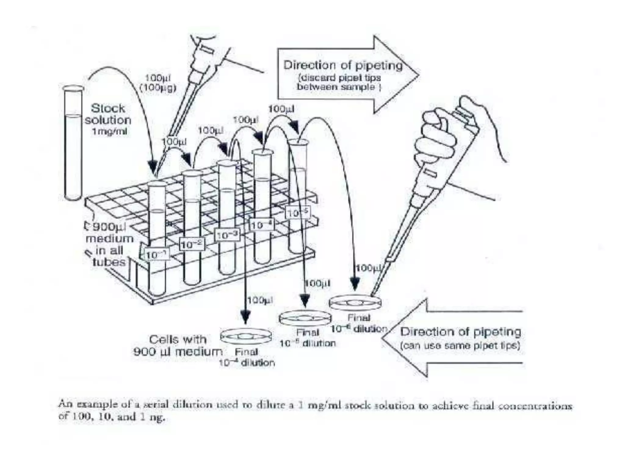 IQC Lesson 5-2
