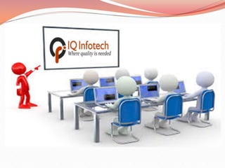 IT Services, VoIP Services, BPO Solutions, Online Marketing - IQ InfoTech