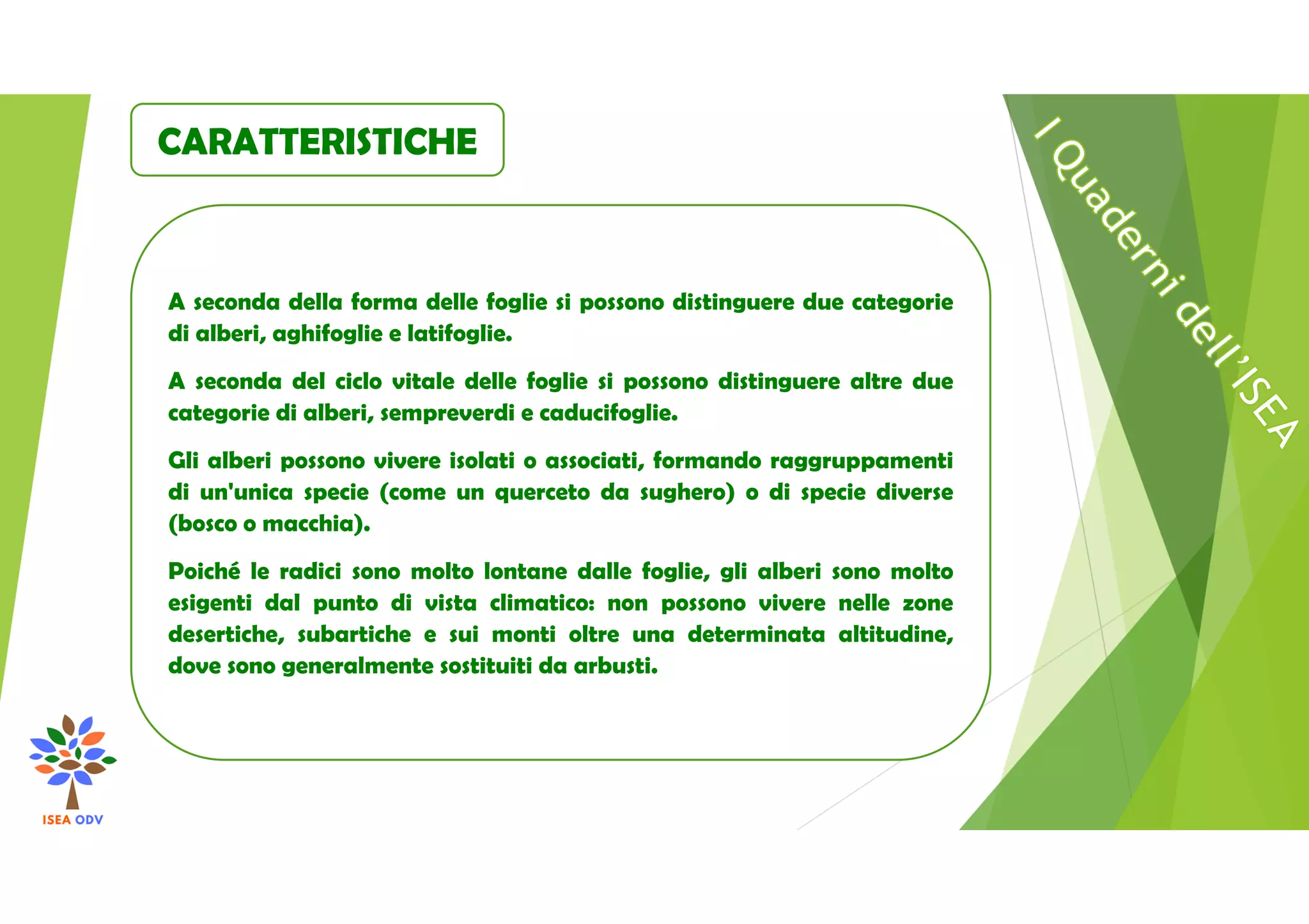 I Quaderni dell'ISEA - Albero | PDF
