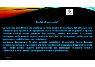 I Quaderni della Ricerca #88 - La ricerca