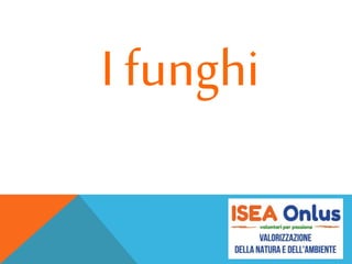 I funghi
 