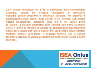 Carlo Linneo introdusse nel 1735 la definizione della nomenclatura
binomiale, basata sul modello aristotelico di definizione
mediante genere prossimo e differenza specifica, nel sistema di
classificazione delle piante, degli animali e dei minerali. Con questo
metodo tassonomico (concepito poco più di un secolo prima
da Bauhin) a ciascun organismo sono attribuiti due nomi (di origine
latina): il primo si riferisce al Genere di appartenenza dell'organismo
stesso ed è uguale per tutte le specie che condividono alcuni caratteri
principali (nomen genericum); il secondo termine, che è spesso
descrittivo, designa la Specie propriamente detta (nome triviale o nome
specifico).
 