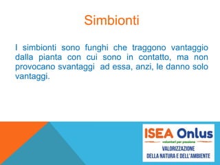 Simbionti
I simbionti sono funghi che traggono vantaggio
dalla pianta con cui sono in contatto, ma non
provocano svantaggi ad essa, anzi, le danno solo
vantaggi.
 