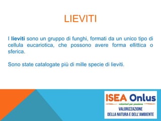 LIEVITI
I lieviti sono un gruppo di funghi, formati da un unico tipo di
cellula eucariotica, che possono avere forma ellittica o
sferica.
Sono state catalogate più di mille specie di lieviti.
 