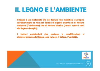 Il legno è un materiale che nel tempo non modifica le proprie
caratteristiche se non per azione di agenti esterni sia di natura
abiotica (l’ambiente) che di natura biotica (insetti come i tarli
del legno e funghi).
I fattori ambientali che portano a modificazioni o
deterioramento del legno sono la luce, il calore, l’umidità.
I S E A O N L U S - P O N T E C A G N A N O F A I A N O 16
 