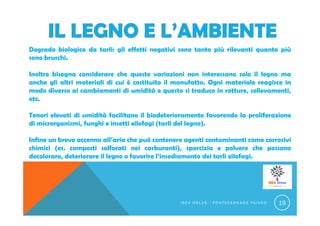 Degrado biologico da tarli: gli effetti negativi sono tanto più rilevanti quanto più
sono bruschi.
Inoltre bisogna considerare che queste variazioni non interessano solo il legno ma
anche gli altri materiali di cui è costituito il manufatto. Ogni materiale reagisce in
modo diverso ai cambiamenti di umidità e questo si traduce in rotture, sollevamenti,
etc.
Tenori elevati di umidità facilitano il biodeterioramento favorendo la proliferazione
di microrganismi, funghi e insetti xilofagi (tarli del legno).
Infine un breve accenno all’aria che può contenere agenti contaminanti come corrosivi
chimici (es. composti solforati nei carburanti), sporcizia e polvere che possono
decolorare, deteriorare il legno o favorire l’insediamento dei tarli xilofagi.
I S E A O N L U S - P O N T E C A G N A N O F A I A N O 19
 