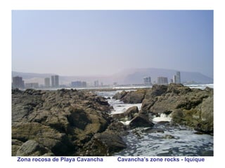 Zona rocosa de Playa Cavancha  Cavancha’s zone rocks - Iquique 