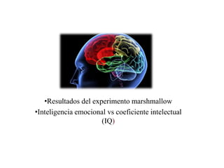 •Resultados del experimento marshmallow
•Inteligencia emocional vs coeficiente intelectual
                      (IQ)
 