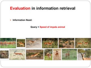 Evaluation in information retrieval
 Information Need:
Query = Speed of impala animal
 