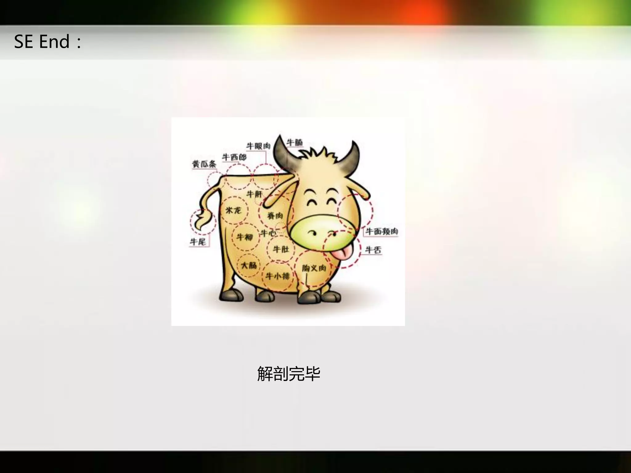 SE End：




          解剖完毕
 