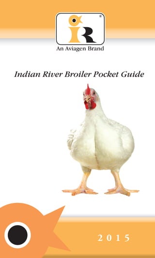 Indian River Broiler Pocket Guide
An Aviagen Brand
2 0 1 5
®
 