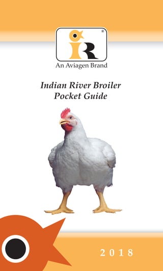 Indian River Broiler
Pocket Guide
An Aviagen Brand
2 0 1 8
®
 