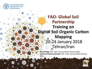 FAO- Global Soil
Partnership
Training on
Digital Soil Organic Carbon
Mapping
20-24 January 2018
Tehran/Iran
Yusuf YIGINI, PhD - FAO, Land and Water Division (CBL)
Guillermo Federico Olmedo, PhD - FAO, Land and Water Division
(CBL)
 