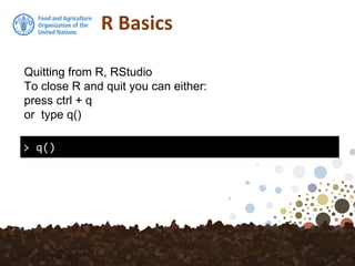 R Basics
> q()
Quitting from R, RStudio
To close R and quit you can either:
press ctrl + q
or type q()
 