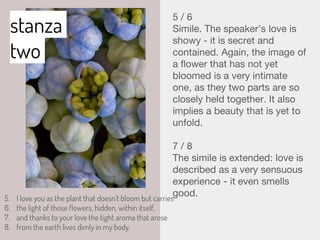stanza
two
5 / 6
Simile. The speaker’s love is
showy - it is secret and
contained. Again, the image of
a flower that has not yet
bloomed is a very intimate
one, as they two parts are so
closely held together. It also
implies a beauty that is yet to
unfold.
7 / 8
The simile is extended: love is
described as a very sensuous
experience - it even smells
good.
5. I love you as the plant that doesn’t bloom but carries
6. the light of those flowers, hidden, within itself,
7. and thanks to your love the tight aroma that arose
8. from the earth lives dimly in my body.
 