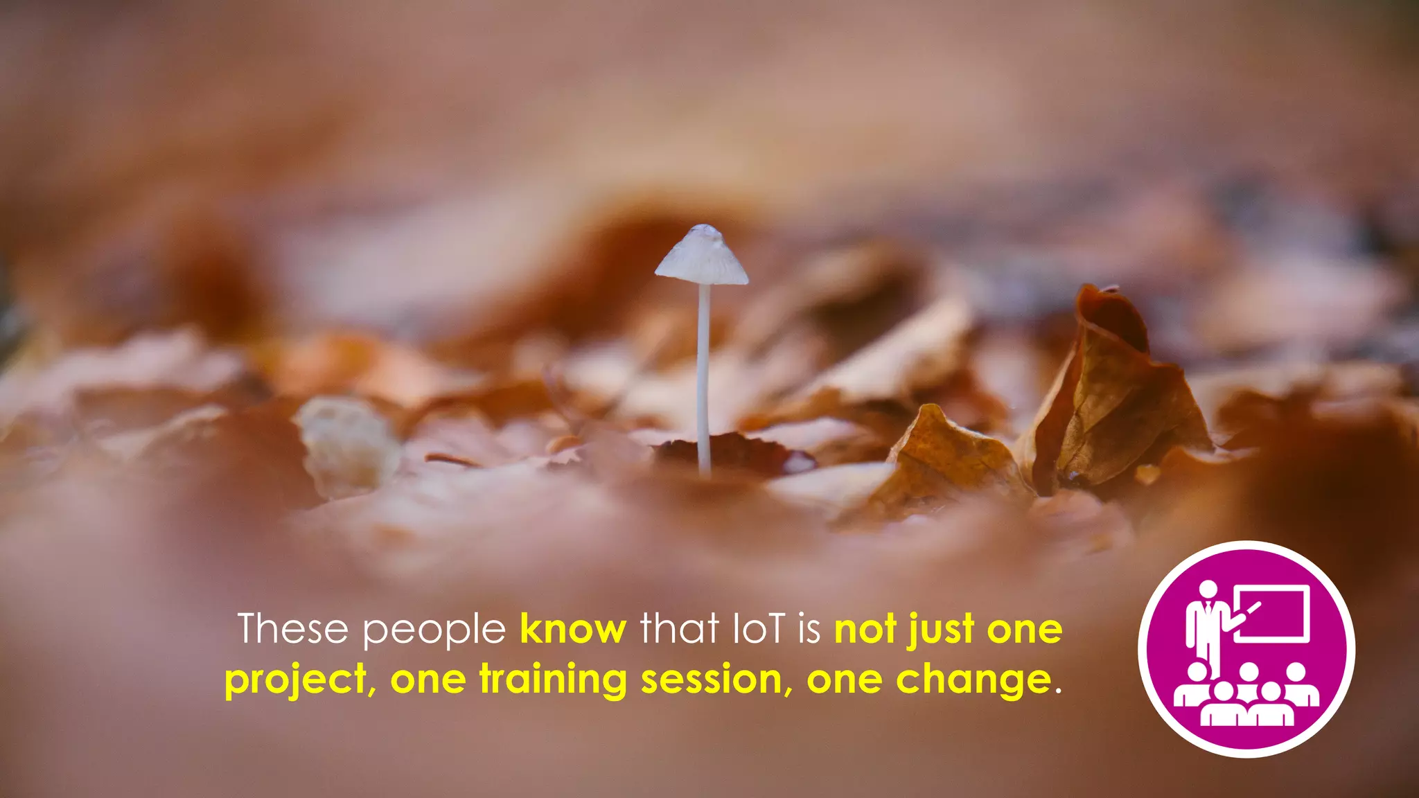 favoriot
These people know that IoT is not just one
project, one training session, one change.
 