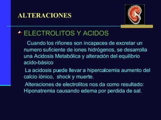 ELECTROLITOS Y ACIDOS Cuando los riñones son incapaces de excretar un numero suficiente de iones hidrógenos, se desarrolla una Acidosis Metabólica y alteración del equilibrio acido-básico La acidosis puede llevar a hipercalcemia aumento del calcio iónico,  shock y muerte. Alteraciones de electrolitos nos da como resultado: Hiponatremia causando edema por perdida de sal. ALTERACIONES 