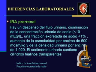 DIFERENCIAS LABORATORIALES IRA prerrenal   Hay un descenso del flujo urinario, disminución de la concentración urinaria de sodio (<10 mEq/l),, una fracción excretada de sodio <1% , aumento de la osmolaridad por encima de 500 mosm/kg y de la densidad urinaria por encima de 1.020. El sedimento urinario contiene cilindros hialinos transparentes Índice de insuficiencia renal  Fracción excretada de sodio  