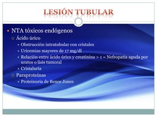  NTA tóxicos endógenos
 Ácido úrico
 Obstrucción intratubular con cristales
 Uricemias mayores de 17 mg/dl
 Relación entre ácido úrico y creatinina > 1 = Nefropatía aguda por
uratos o lisis tumoral
 Cristaluria
 Paraproteínas
 Proteinuria de Bence Jones
 