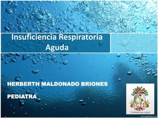 Insuficiencia Respiratoria
Aguda

HERBERTH MALDONADO BRIONES
PEDIATRA

 