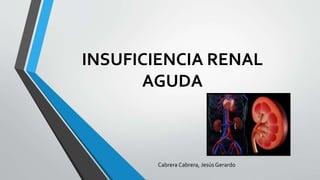 INSUFICIENCIA RENAL
AGUDA
Cabrera Cabrera, Jesús Gerardo
 