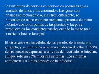 Se transmiten de persona en persona en pequeñas gotas resultado de la tos y los estornudos. Las gotas son inhaladas directamente o, más frecuentemente, se transmiten de mano en mano mediante apretones de mano u objetos como los pomos de las puertas, y luego se introducen en los conductos nasales cuando la mano toca la nariz, la boca o los ojos.  El virus entra en las  células  de las paredes de la nariz y la garganta, y se multiplica rápidamente dentro de ellas. El 99% de las personas expuestas a un virus del resfriado se infectan, aunque sólo un 75% muestran síntomas. Los síntomas comienzan 1 o 2 días después de la infección  