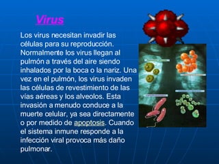 Virus Los virus necesitan invadir las células para su reproducción. Normalmente los virus llegan al pulmón a través del aire siendo inhalados por la boca o la nariz. Una vez en el pulmón, los virus invaden las células de revestimiento de las vías aéreas y los alveolos. Esta invasión a menudo conduce a la muerte celular, ya sea directamente o por medido de  apoptosis . Cuando el sistema inmune responde a la infección viral provoca más daño pulmonar. 