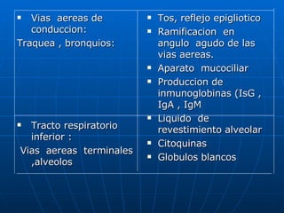 Vias  aereas de conduccion: Traquea , bronquios: Tracto respiratorio inferior : Vias  aereas  terminales ,alveolos  Tos, reflejo epigliotico Ramificacion  en angulo  agudo de las vias aereas. Aparato  mucociliar Produccion de inmunoglobinas (IsG , IgA , IgM Liquido  de revestimiento alveolar  Citoquinas Globulos blancos 