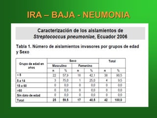 IRA – BAJA - NEUMONIA
 