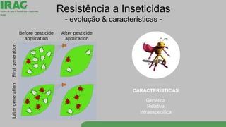 Resistência a Inseticidas
- evolução & características -
 