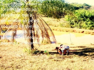 Suas últimas palavras foram o pedido ao marido de que a enterrasse ao pé do coqueiro de que ela gostava tanto. Em seguida, desfaleceu e não mais se levantou.  