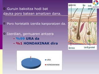 Guruin bakoitza hodi bat  dauka poro batean amaitzen dana.  Poro horietatik izerdia kanporatzen da. Izerdian, gernuaren antzera -  %99  URA da - %1  HONDAKINAK dira 