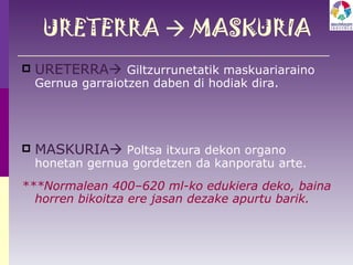 URETERRA    MASKURIA URETERRA    Giltzurrunetatik maskuariaraino Gernua garraiotzen daben di hodiak dira. MASKURIA    Poltsa itxura dekon organo honetan gernua gordetzen da kanporatu arte. ***Normalean 400–620 ml-ko edukiera deko, baina horren bikoitza ere jasan dezake apurtu barik. 