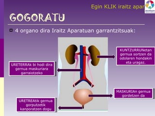 GOGORATU 4 organo dira Iraitz Aparatuan garrantzitsuak:  KUNTZURRUNetan gernua sortzen da odolaren hondakin eta uragaz. MASKURIAn gernua gordetzen da URETREAtik gernua gorputzetik kanporatzen dogu URETERRAk bi hodi dira gernua maskuriara garraiotzeko Egin KLIK iraitz aparatua irudietan ikusteko! 