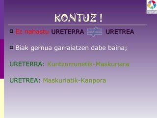 KONTUZ ! Ez nahastu  URETERRA  URETREA Biak gernua garraiatzen dabe baina; URETERRA:  Kuntzurrunetik-Maskuriara URETREA:  Maskuriatik-Kanpora  