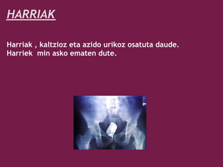 HARRIAK

Harriak , kaltzioz eta azido urikoz osatuta daude.
Harriek  min asko ematen dute.
 