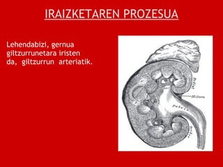 IRAIZKETAREN PROZESUA

Lehendabizi, gernua                            
giltzurrunetara iristen
da,  giltzurrun  arteriatik.     
                                           
                                           
                                           
                                           
                                           
                                           
                                           
                                           
                                           
                                           
                                           
 