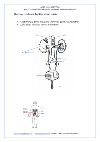 ALTZA HERRI IKASTETXEA
               IRAIZKETA: EGOKITZAPENA (iturria: Santillana 6.mailako testu liburua)

Hurrengo izen hauek dagokien lekuan kokatu:


     Giltzurrunak, gernu-maskuria, ureterrak, gernubidea (uretra)
     Kaba zaina eta aorta arteria koloreztatu.




www.margarigela.blogspotc.com   www.hipialtza.blogspot.com LAGUNTZA ETA HIPI GELARAKO EGOKITZAPENAK
                                                         4
 