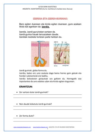 ALTZA HERRI IKASTETXEA
               IRAIZKETA: EGOKITZAPENA (iturria: Santillana 6.mailako testu liburua)




         Bero egiten duenean eta kirola egiten duenean, gure azalean
         likido bat agertzen da: izerdia.

         Izerdia, izerdi-guruinetan sortzen da.
         Izerdi-gurina hauek larruazalean daude.
         Izerdiak iraizketa funtzian parte hartzen du.




         Izerdi gurinak globo forma du.
         Izerdia, batez ere urez osatuta dago baina horrez gain gatzak eta
         hondar substantziak ere baditu.
         Izerdia botzatzean gorputzak ura galtzen du. Horregatik oso
         inportantea da uera edatea udan eta kirola egiten dugunean.

         ERANTZUN:

     Zer sortzen dute izerdi-gurinek?




     Non daude kokatuta izerdi-gurinak?




     Zer forma dute?



www.margarigela.blogspotc.com   www.hipialtza.blogspot.com LAGUNTZA ETA HIPI GELARAKO EGOKITZAPENAK
                                                         5
 