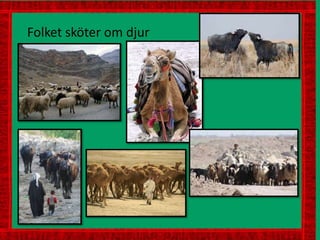 Folket sköter om djur
 