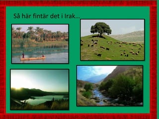 Så här fintär det i Irak…
 