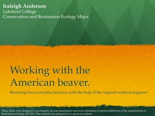 Iraleigh Anderson

Lakeland College
Conservation and Restoration Ecology Major

Working with the
American beaver.
Restoring lost ecosystem function with the help of the original wetland-engineer

These slides were designed to accompany an oral presentation and were submitted in partial fulfillment of the requirements of
Restoration Ecology (SC329). This material was prepared for a general audience.

 
