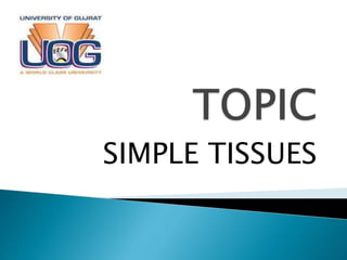 SIMPLE TISSUES
 