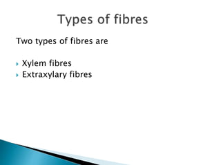 Two types of fibres are
 Xylem fibres
 Extraxylary fibres
 