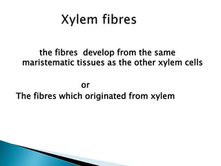 the fibres develop from the same
maristematic tissues as the other xylem cells
or
The fibres which originated from xylem
 